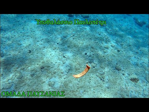 ΠΑΥΛΟΠΕΤΡΙ
