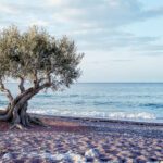 Secret Winter Escapes for an Authentic New Year by the Aegean 4