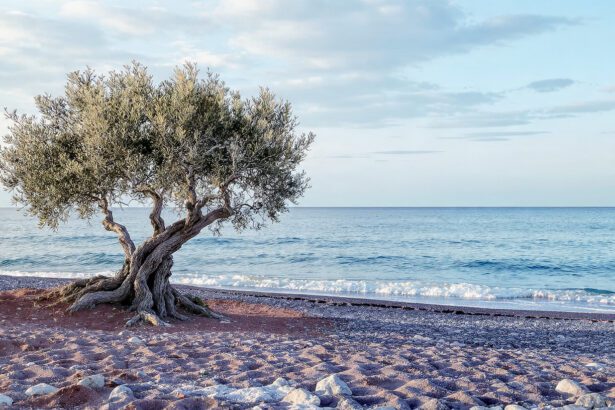 Secret Winter Escapes for an Authentic New Year by the Aegean 12