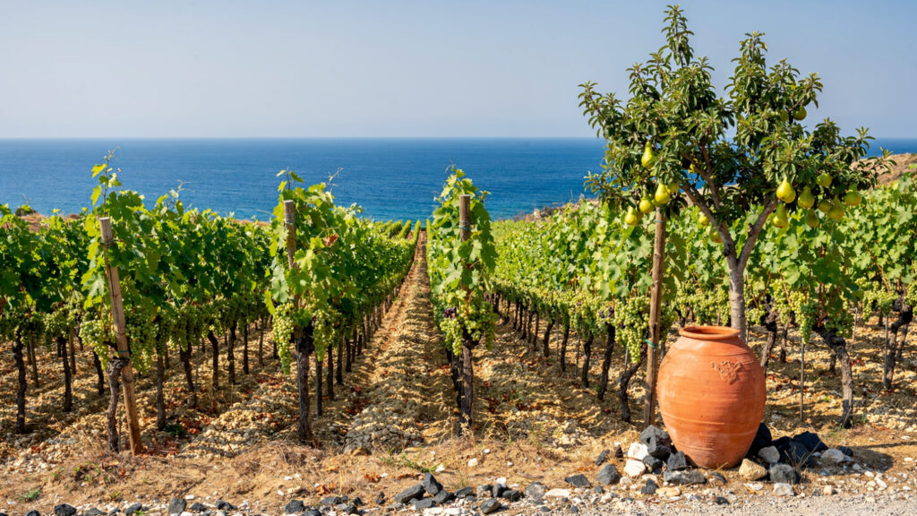 Halkidiki Beyond the Beaches | Ten Alternative Experiences in Northern Greece 16