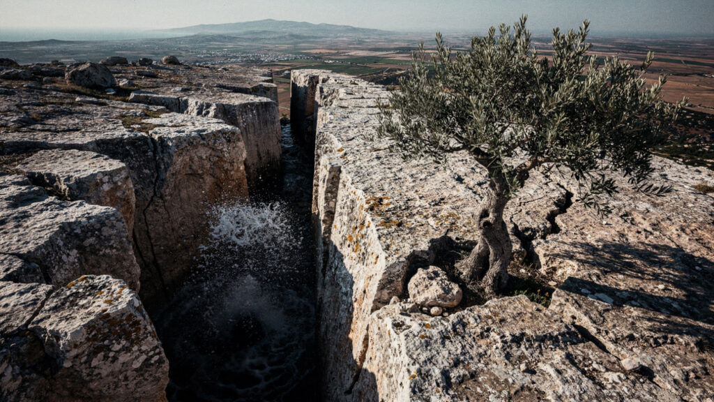 The First Sacred Olive Tree | Maria Elaia, Gift of the Goddess Athena 14