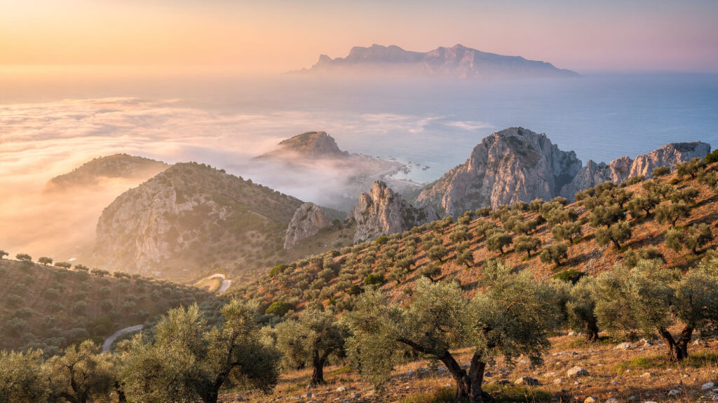 Discover Zakynthos | A Mediterranean Gem of Natural Beauty and Rich Heritage 19