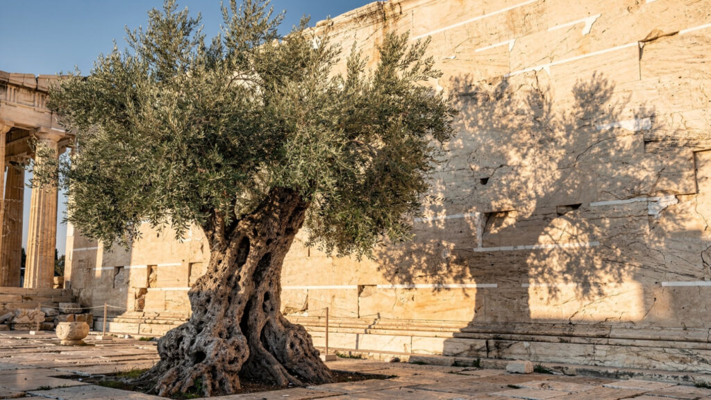 Erechtheion | The Sacred Secrets and Haunting Legends of the Acropolis' Most Mysterious Temple 14