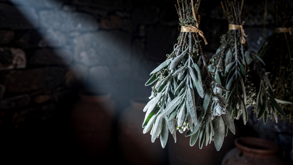 The Timeless Treasures of Greek Land | Aromatic Herbs That Define Greek Cuisine 21