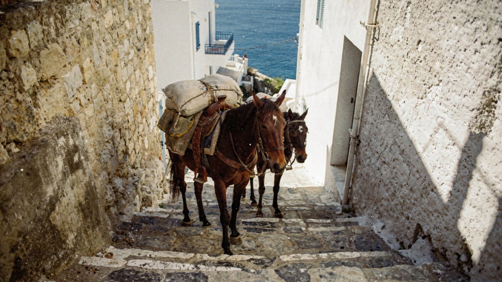 Hydra | The Greek Island That Banned Cars 16