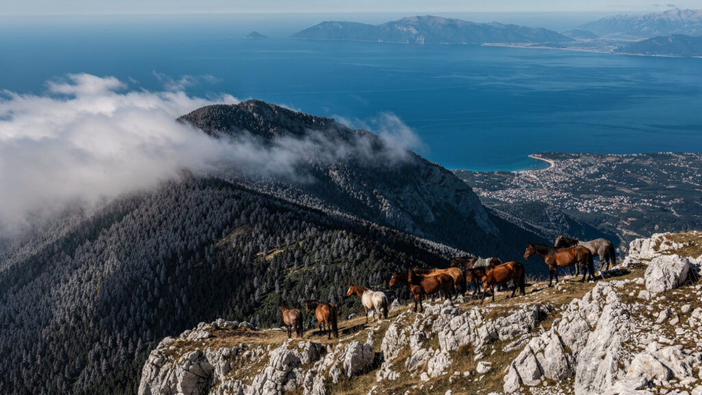Kefalonia | Greece's Undiscovered Gem of the Ionian Sea 22
