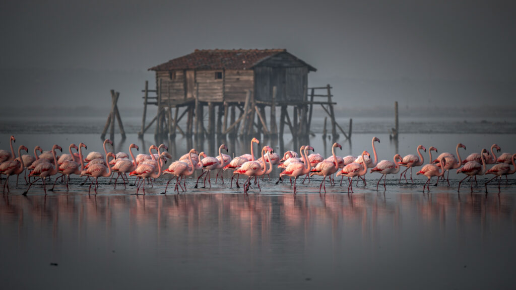 The Natural Heritage of Greece | A Journey Through Eco-Tourism and Responsible Exploration 16
