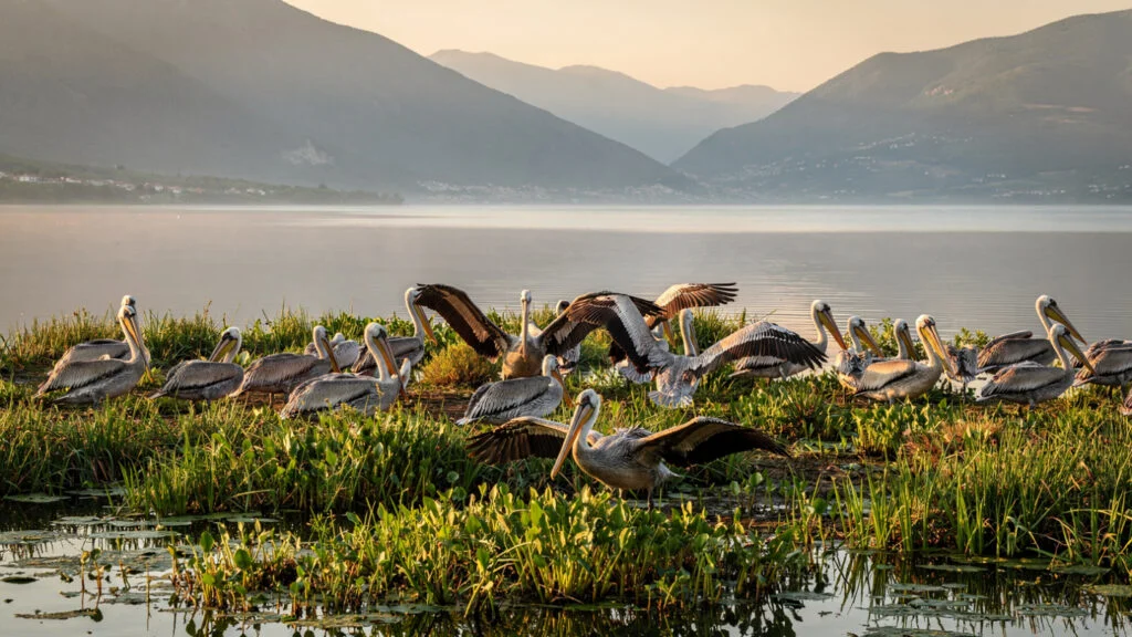 The Natural Heritage of Greece | A Journey Through Eco-Tourism and Responsible Exploration 15