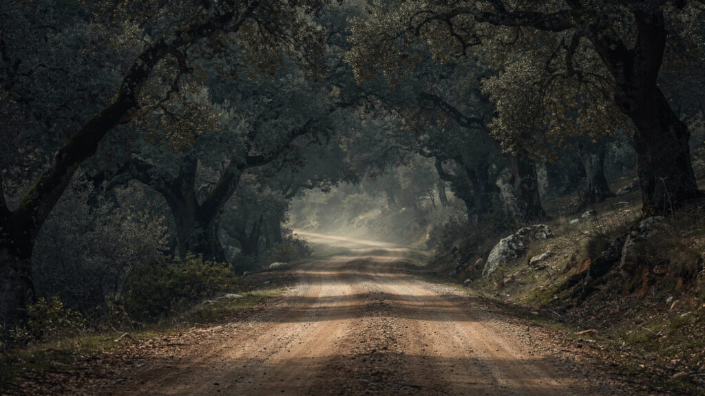 The Centaur Forest | Foloi, Pholus, and the Most Tragic Episode in the Labors of Heracles 20