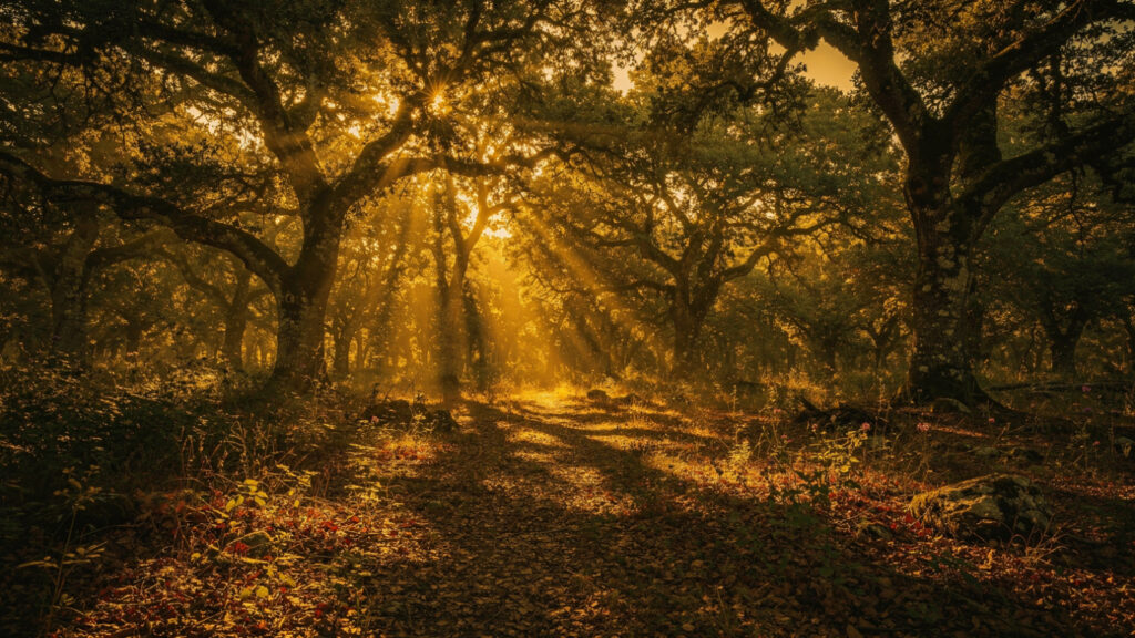 The Centaur Forest | Foloi, Pholus, and the Most Tragic Episode in the Labors of Heracles 22