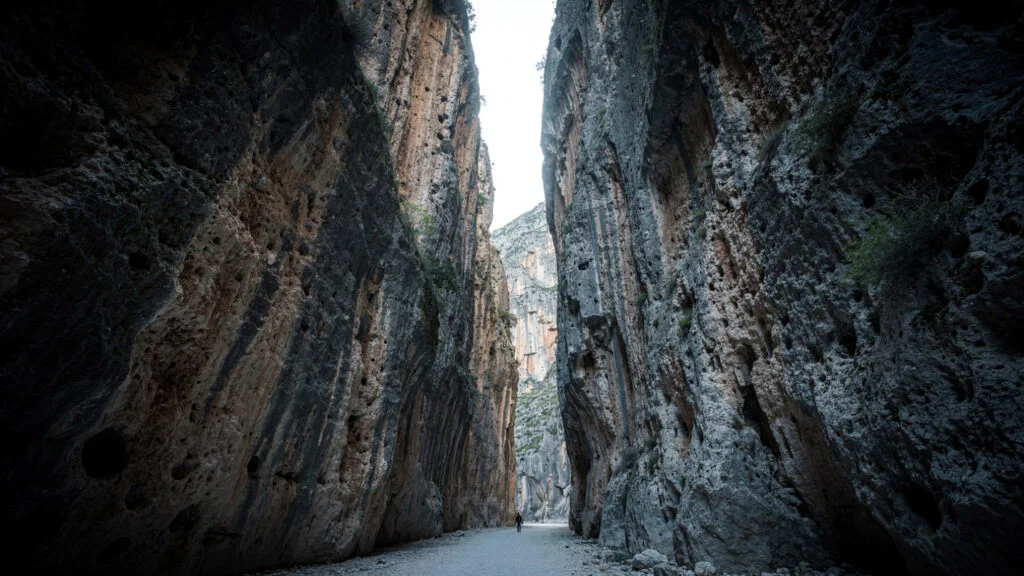 The Greek Wilderness | What Survived and Why 19