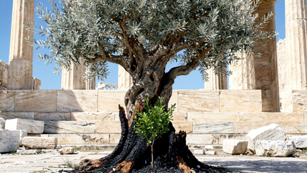 Trees in the Folk Heritage of the Greeks | Their Relationship with Antiquity 16