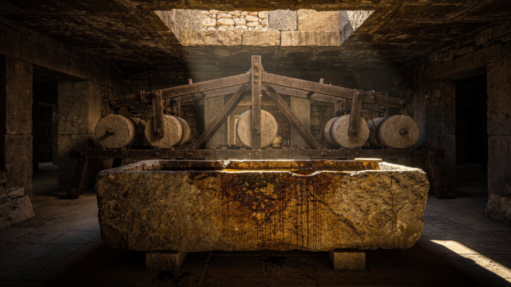 The Olive Tree of Greece | From the Linear B Tablets to the Tree That Outlived the Parthenon 21
