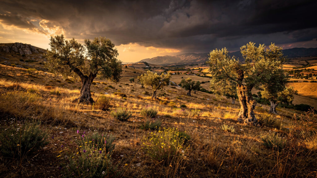 Trahanas | The Byzantine Grain That Carried the Demeter Calendar Through Winter 17