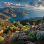 Do Ten Primordial Edibles Define Aegean Genetic Memory? 6