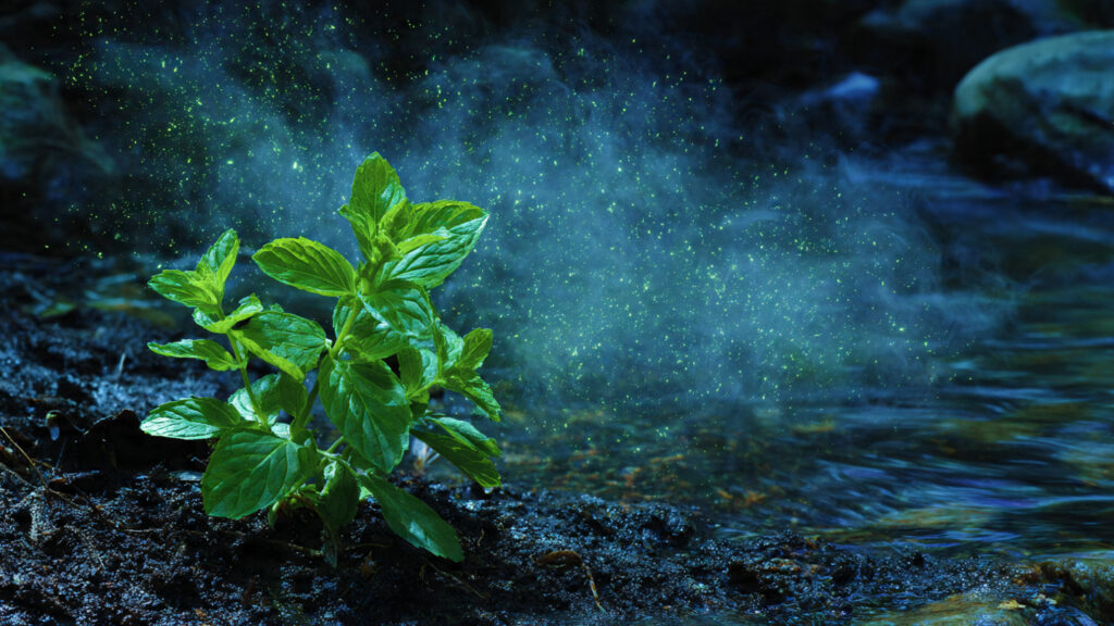 Minthe the Wild Nymph Who Shaped the Greek Scent 20