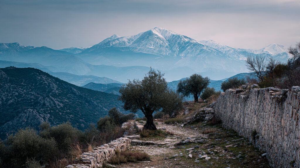 Zeno and the Architecture of Winter Stability 16