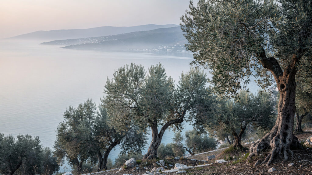 Lesbos | Beyond Sappho, Beyond the Headlines 16