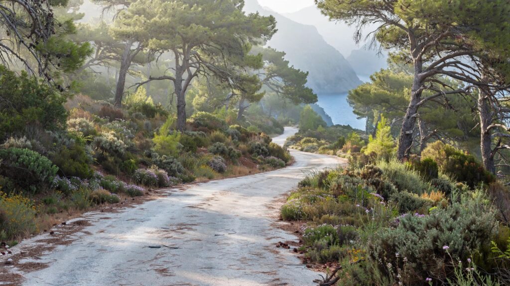 Lefkada | The Island That Keeps Choosing to Be One 20
