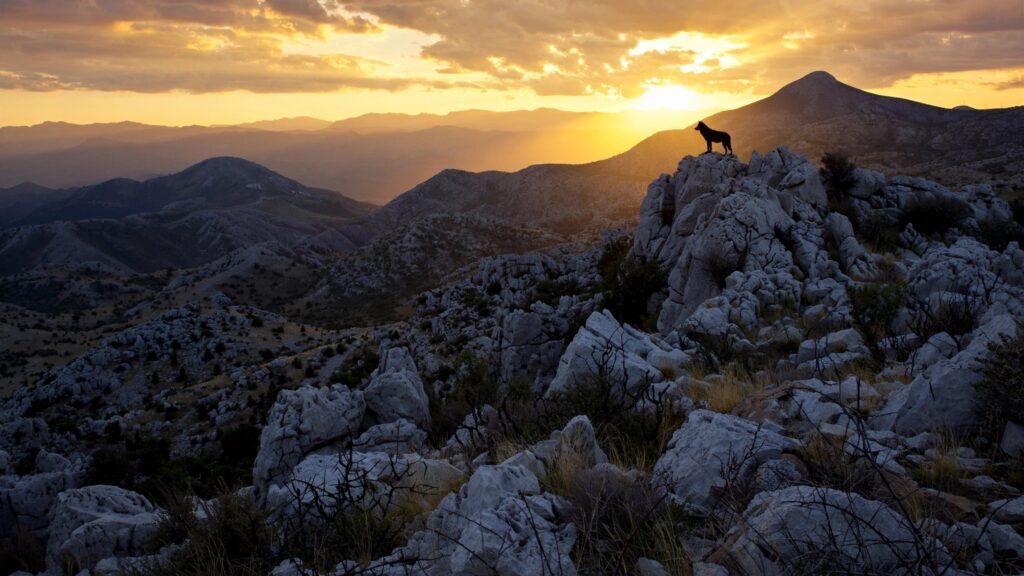 Mount Lykaion | The Altar That Was Sacred Before Zeus Had a Name 15